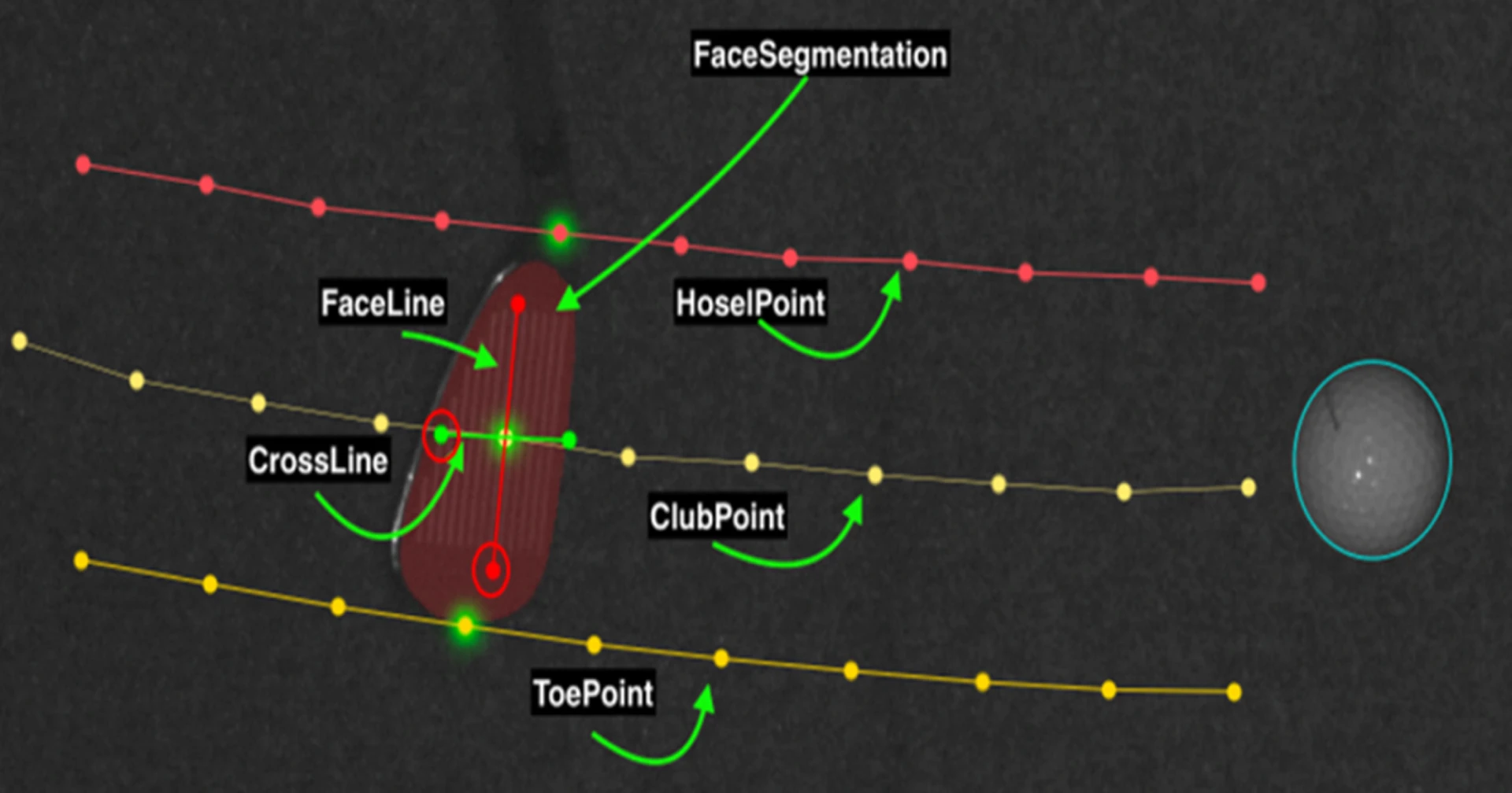 Illustration of golf club analysis with labeled points: FaceLine, CrossLine, ClubPoint, ToePoint, HoselPoint, and FaceSegmentation on a dark background.